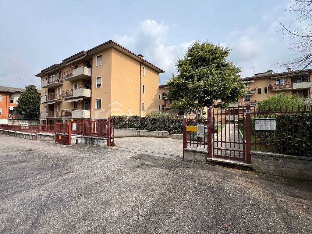 immagine annuncio 1 di 15