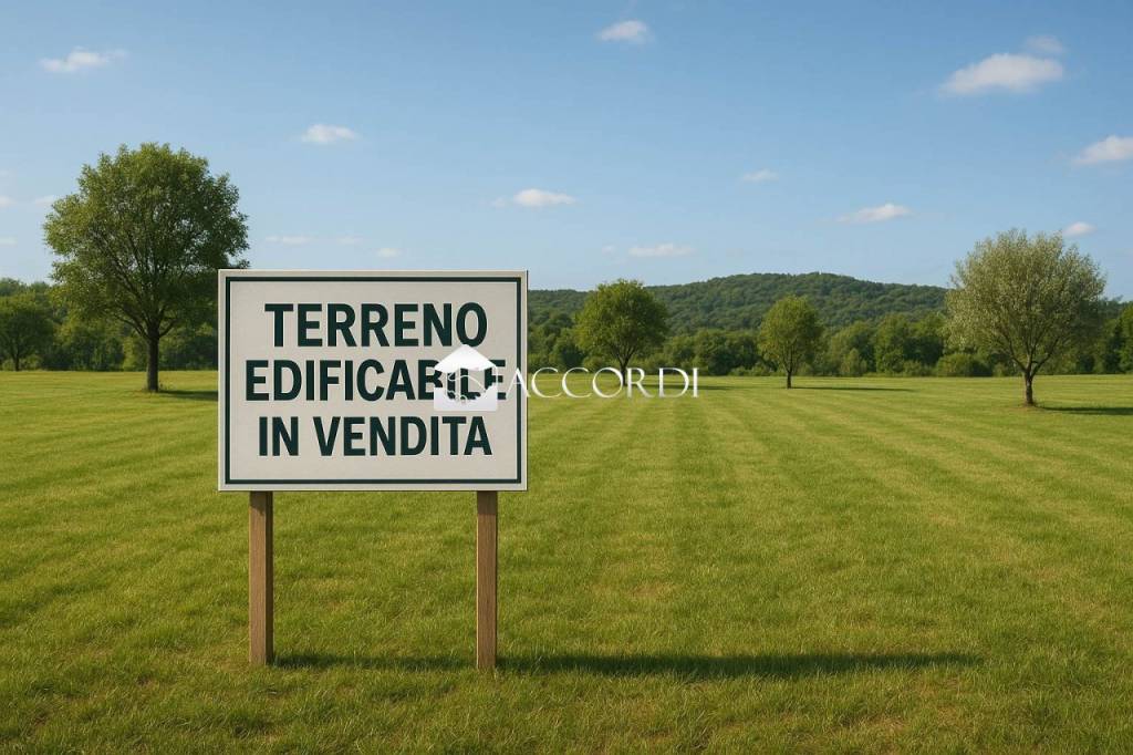 immagine annuncio 4 di 7
