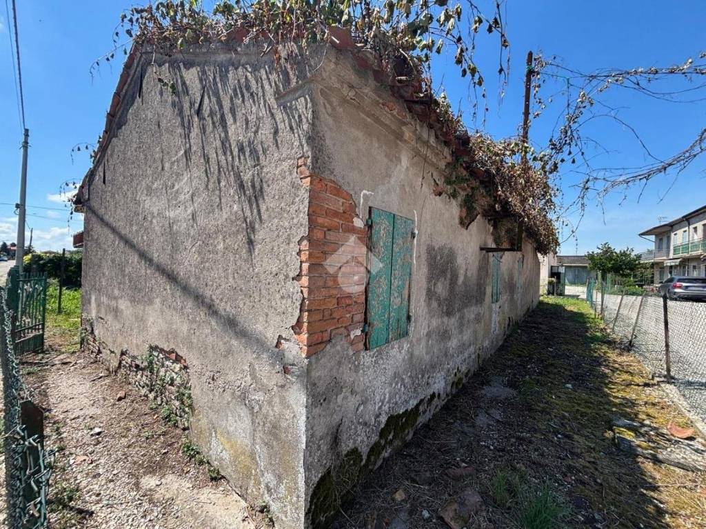 immagine annuncio 11 di 15