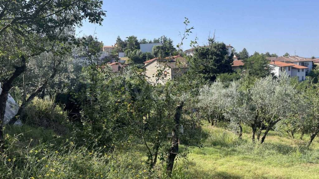 immagine annuncio 5 di 8