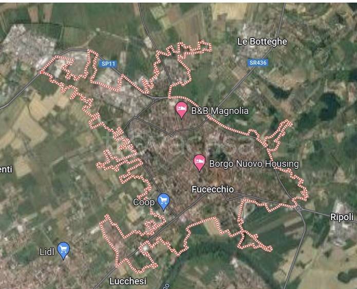 immagine annuncio 11 di 15