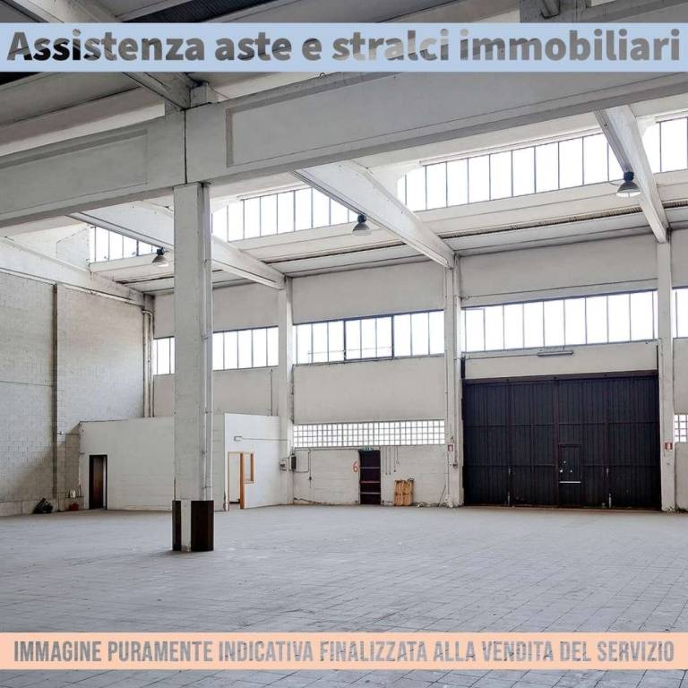 immagine annuncio 4 di 9