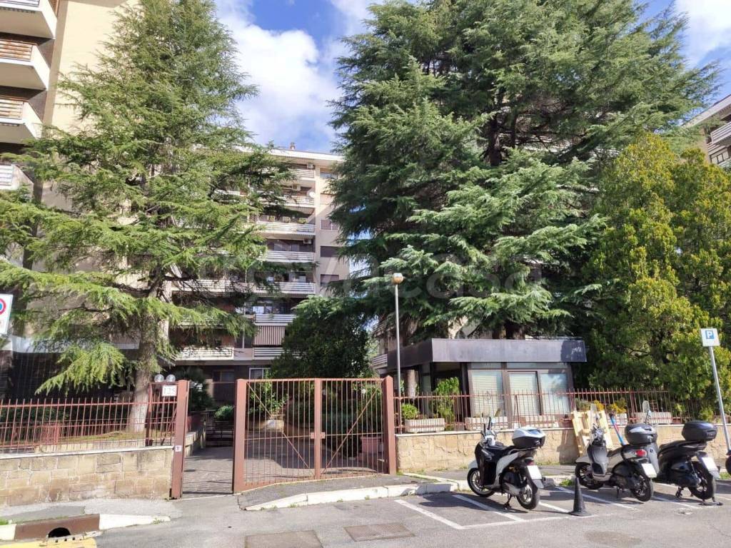 immagine annuncio 6 di 8