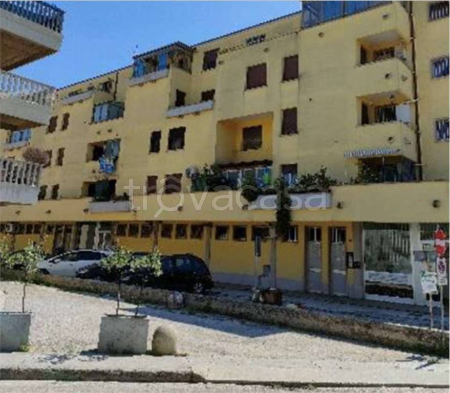 immagine annuncio 3 di 13