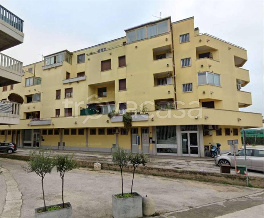 immagine annuncio 6 di 13