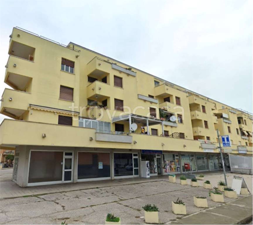 immagine annuncio 9 di 13