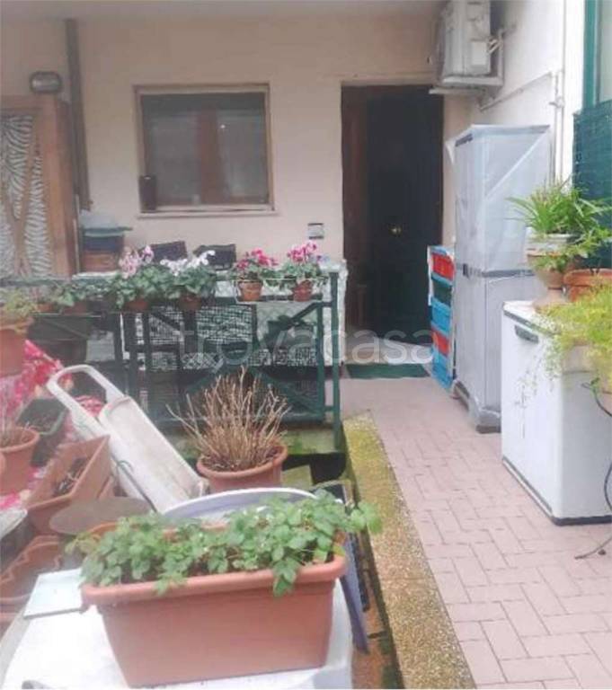 immagine annuncio 2 di 14
