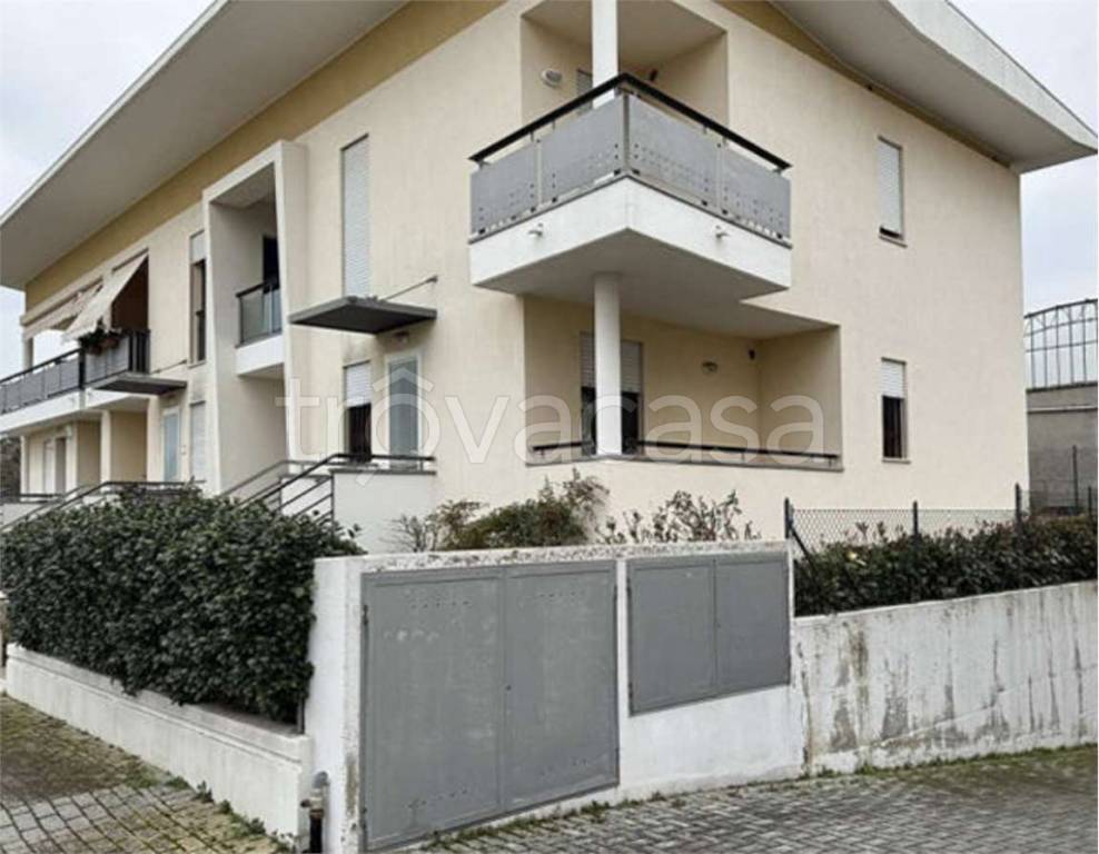 immagine annuncio 5 di 14