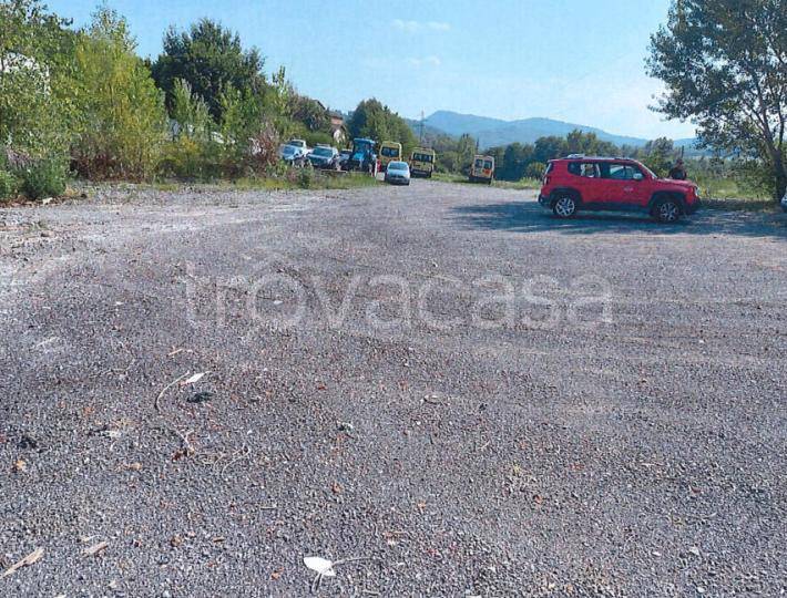 immagine annuncio 3 di 8
