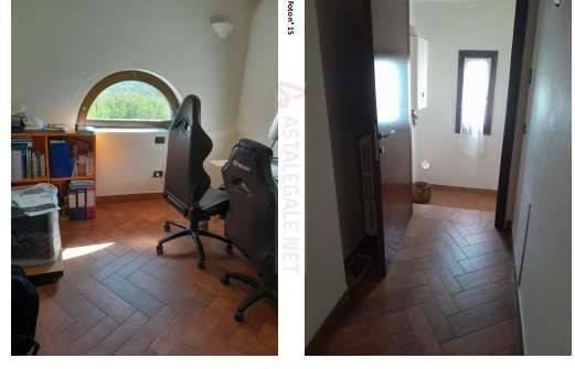 immagine annuncio 9 di 12