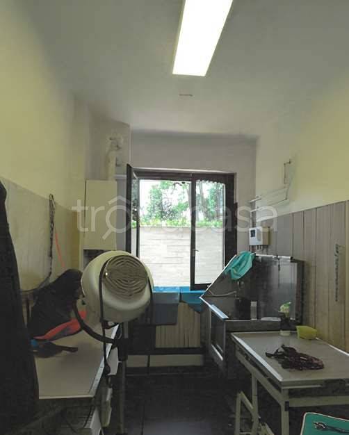 immagine annuncio 7 di 8