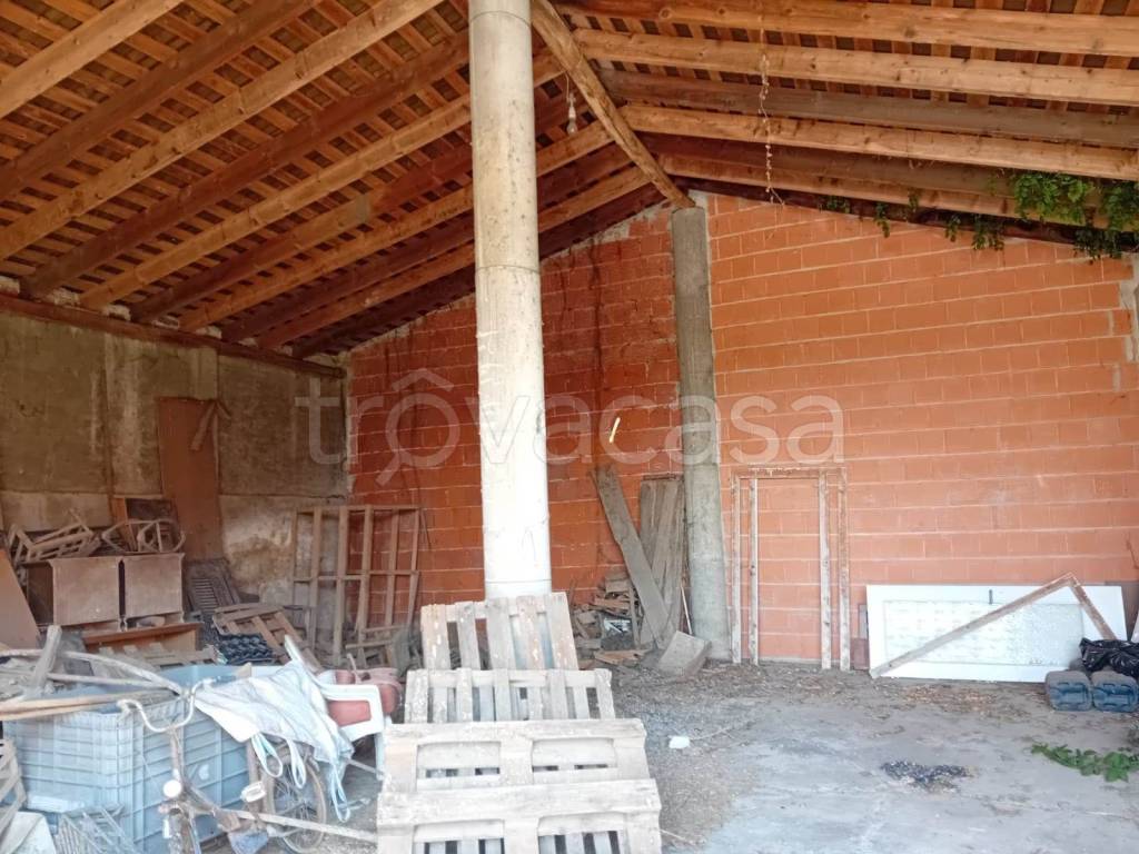 immagine annuncio 6 di 11