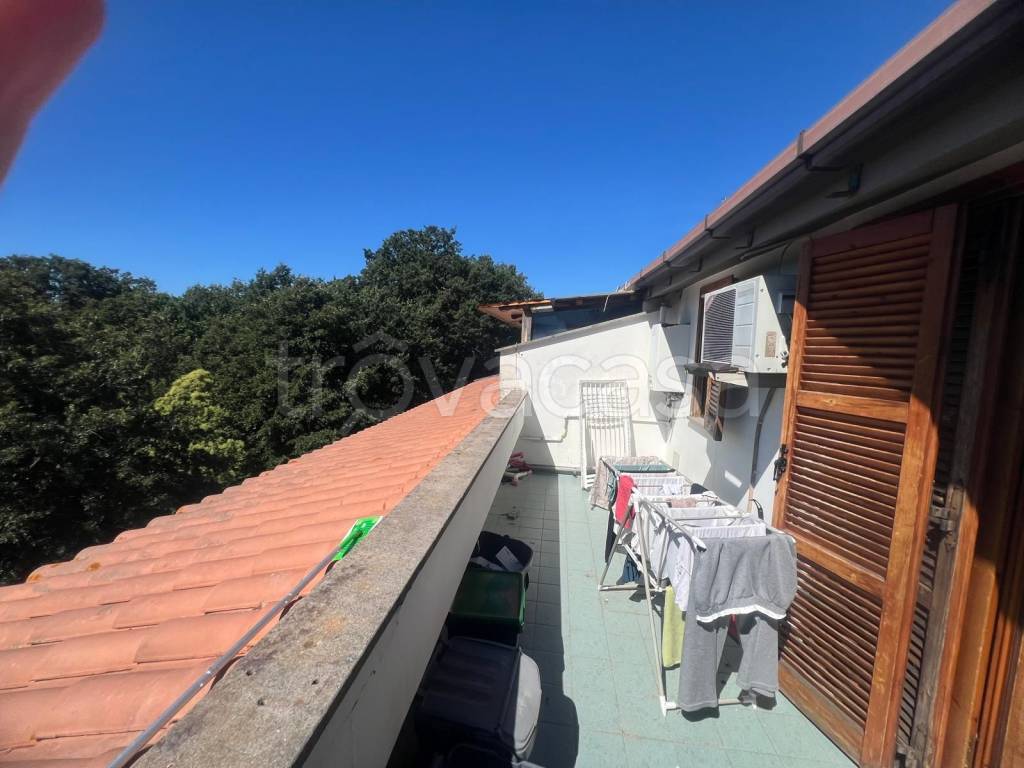 immagine annuncio 11 di 14