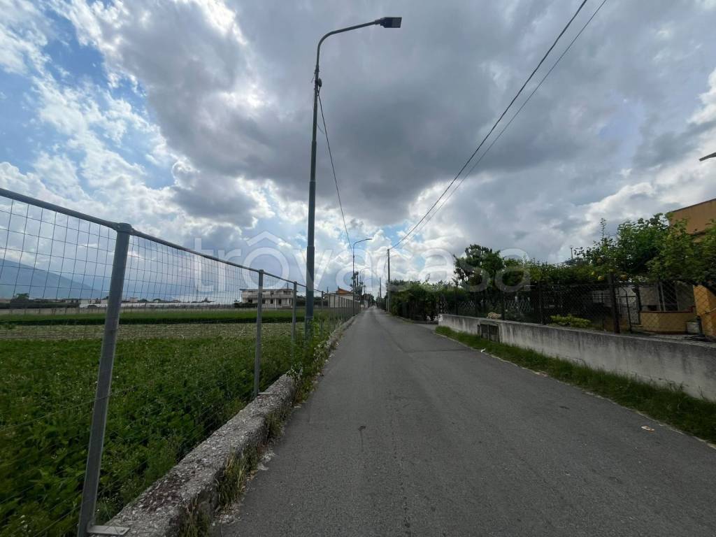 immagine annuncio 6 di 13