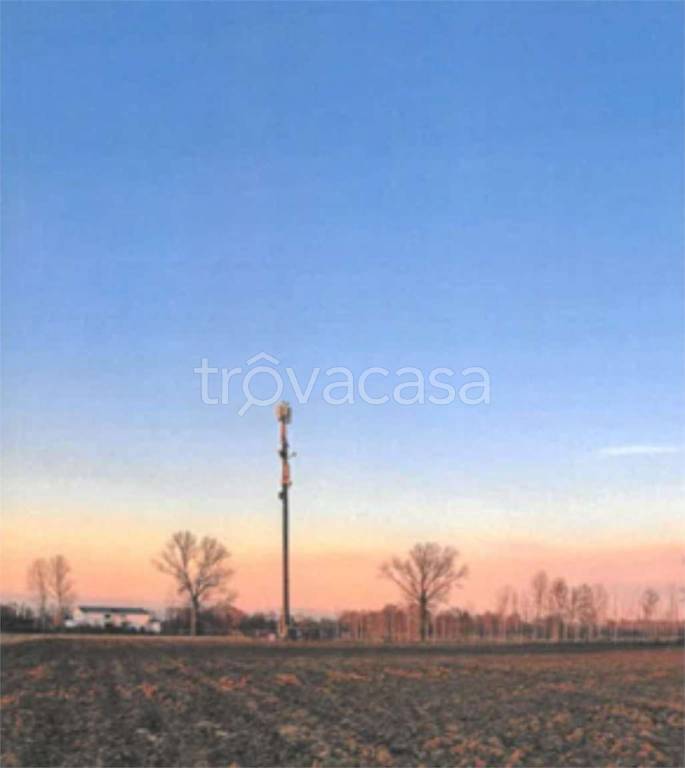 immagine annuncio 8 di 11