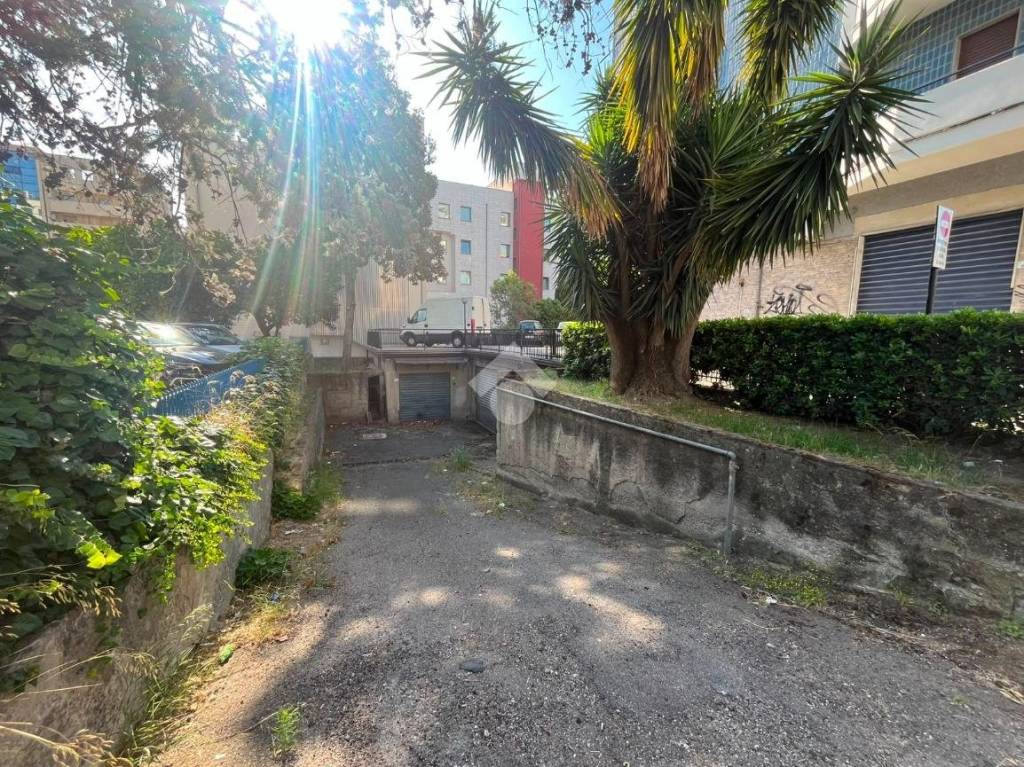 immagine annuncio 7 di 12