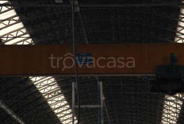 immagine annuncio 3 di 8