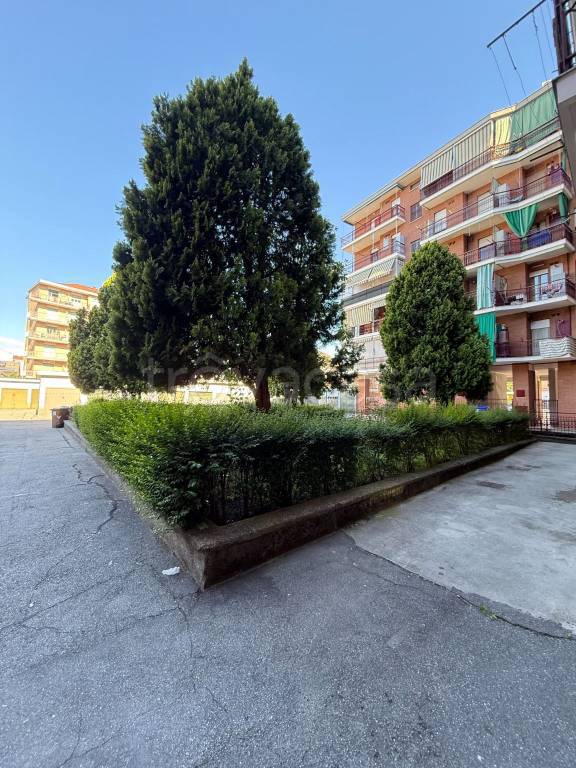 immagine annuncio 4 di 9