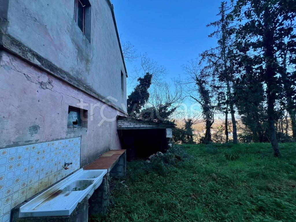 immagine annuncio 8 di 12
