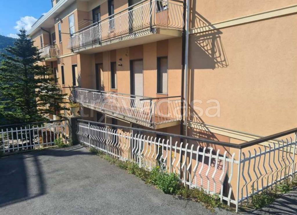 immagine annuncio 2 di 14