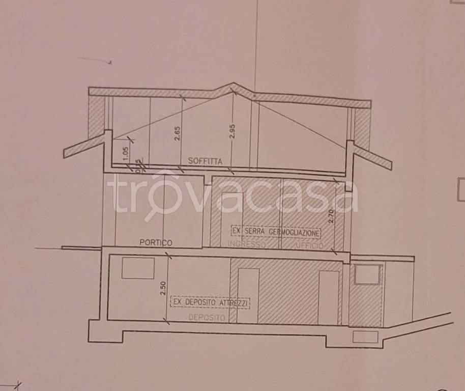 immagine annuncio 6 di 7