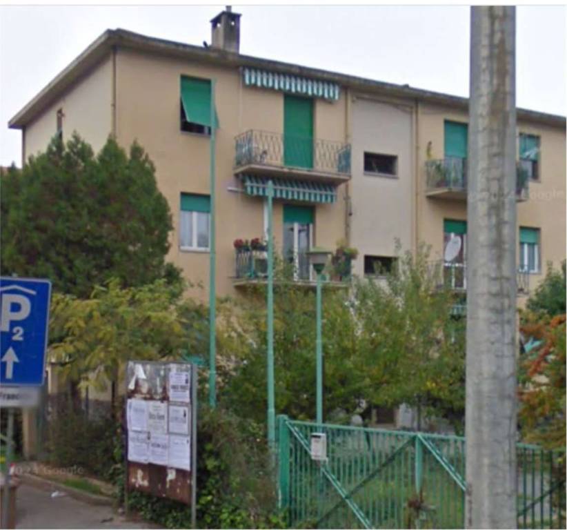 immagine annuncio 1 di 14