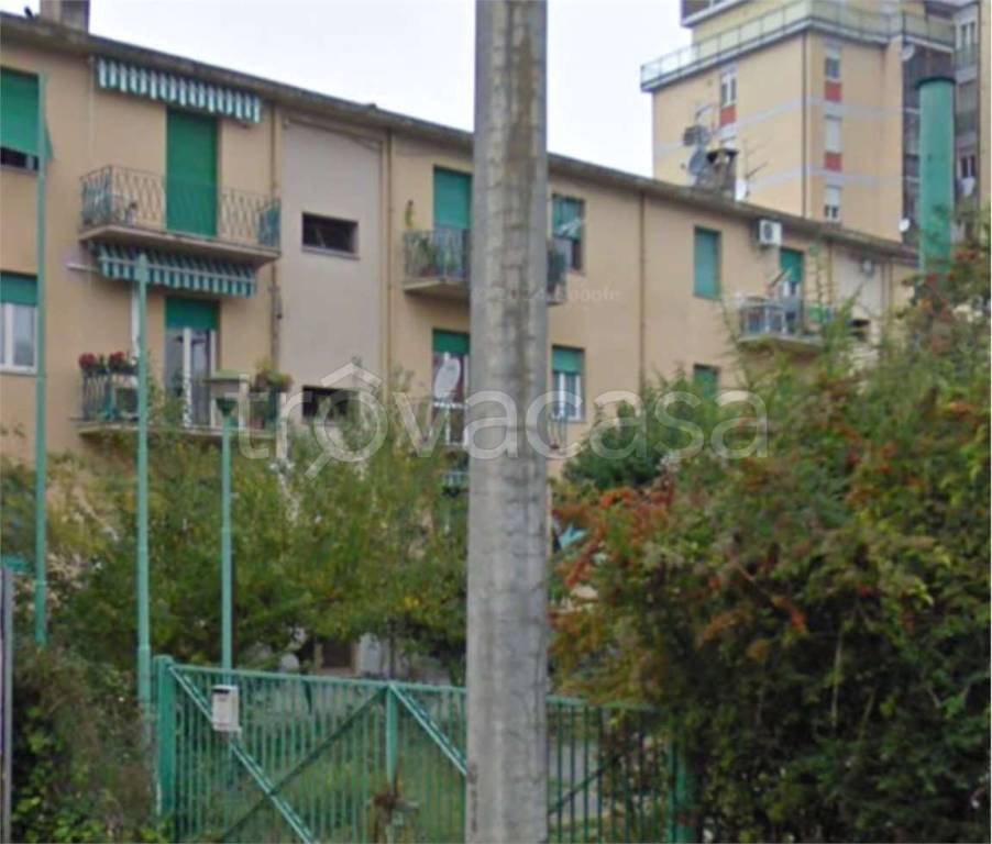 immagine annuncio 2 di 14