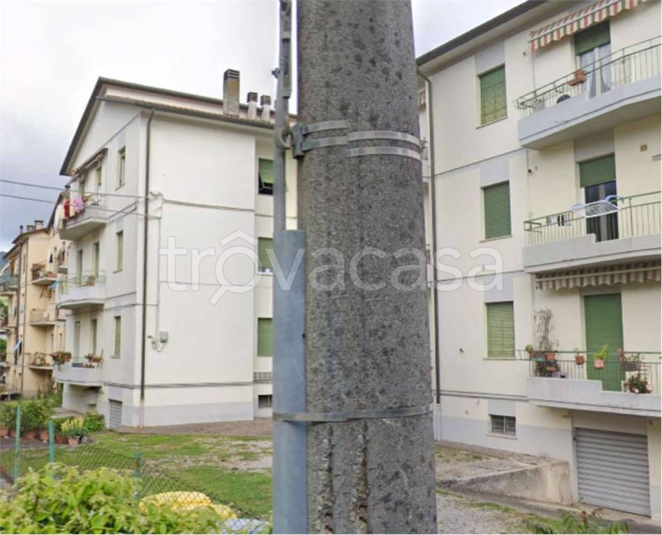 immagine annuncio 5 di 14