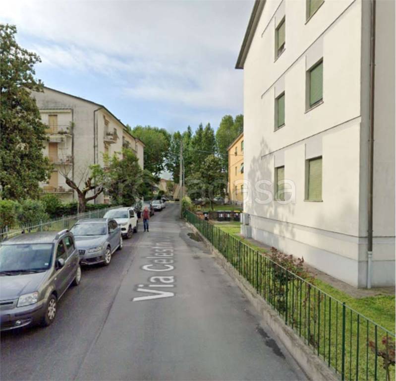 immagine annuncio 11 di 14
