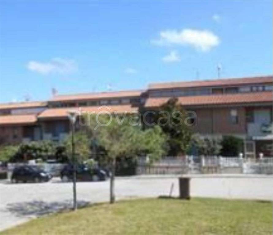 immagine annuncio 11 di 12