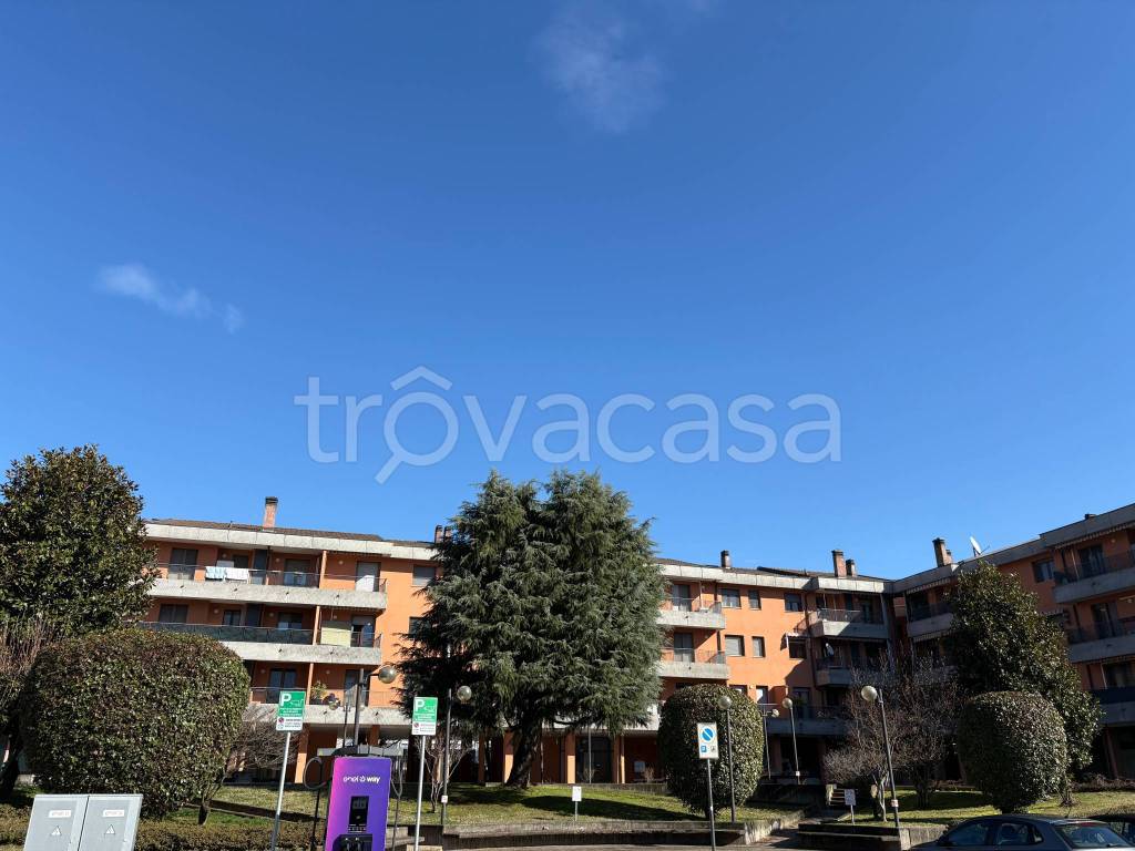 immagine annuncio 2 di 11
