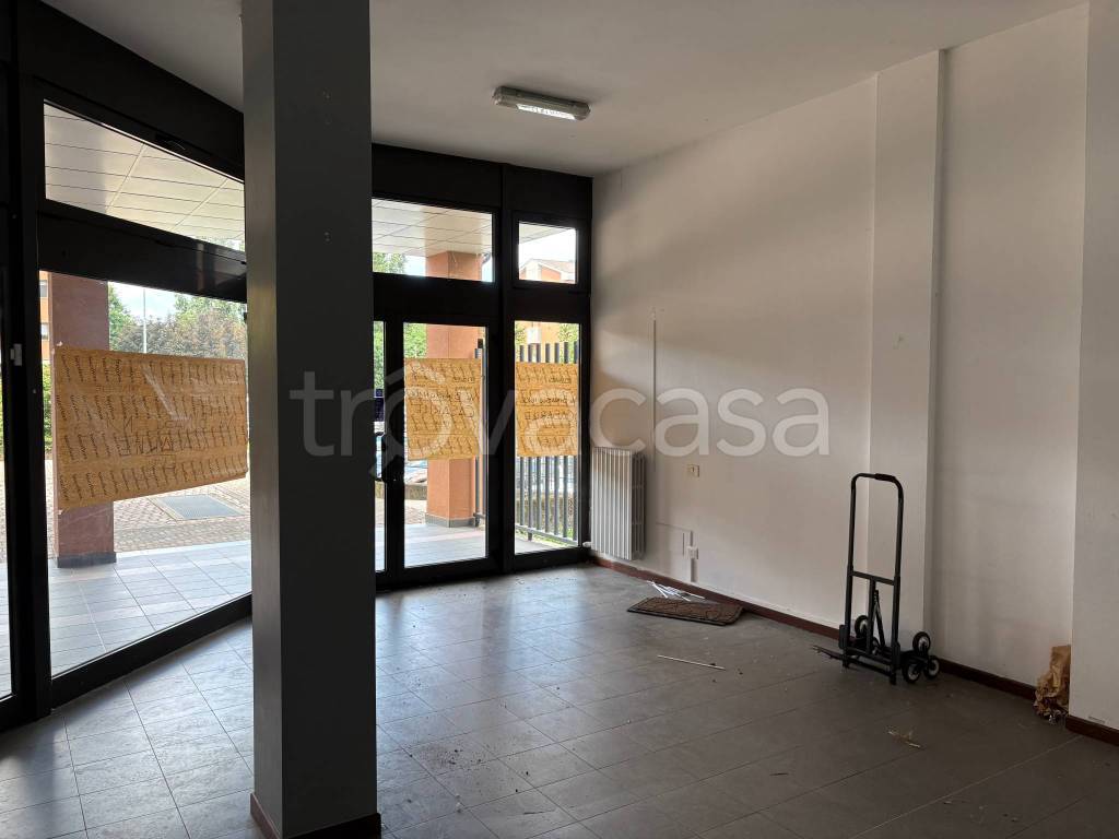 immagine annuncio 4 di 11