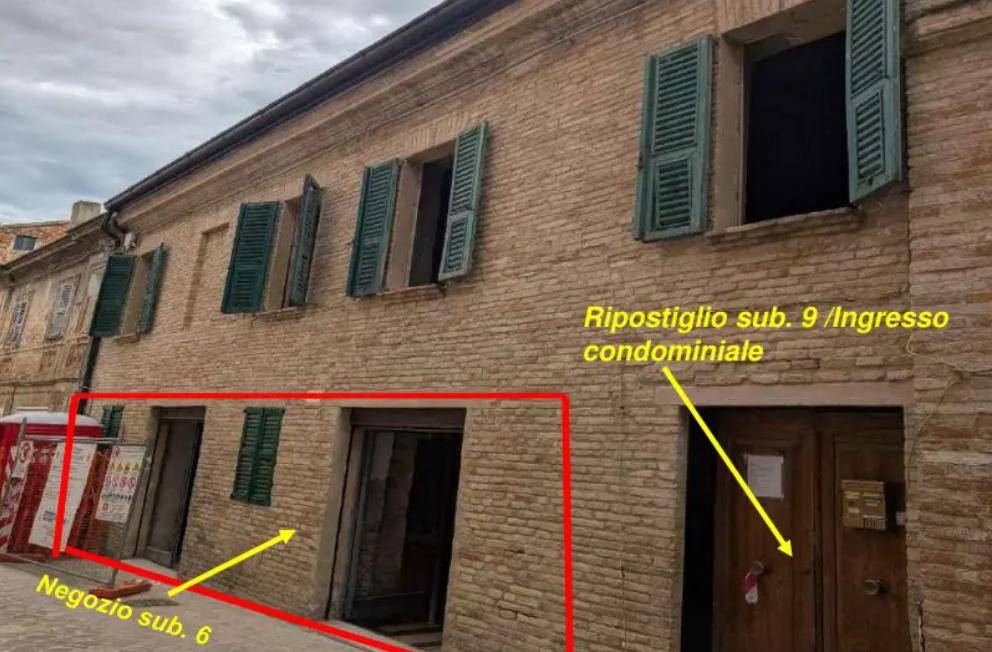 immagine annuncio 3 di 15