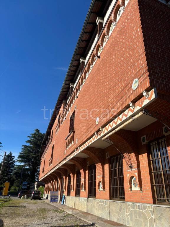 immagine annuncio 7 di 14