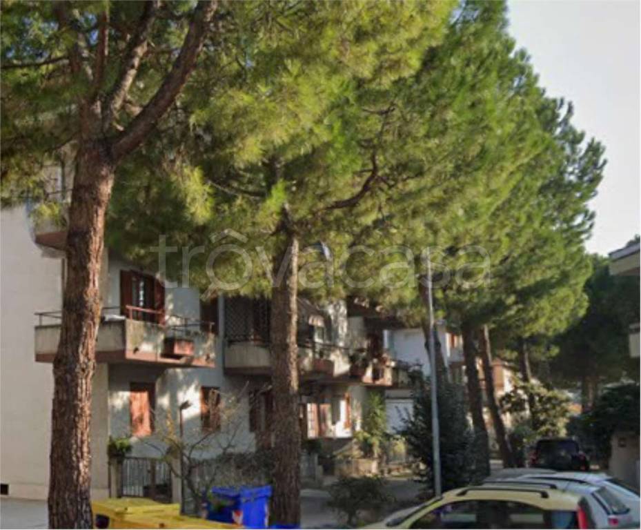 immagine annuncio 7 di 14