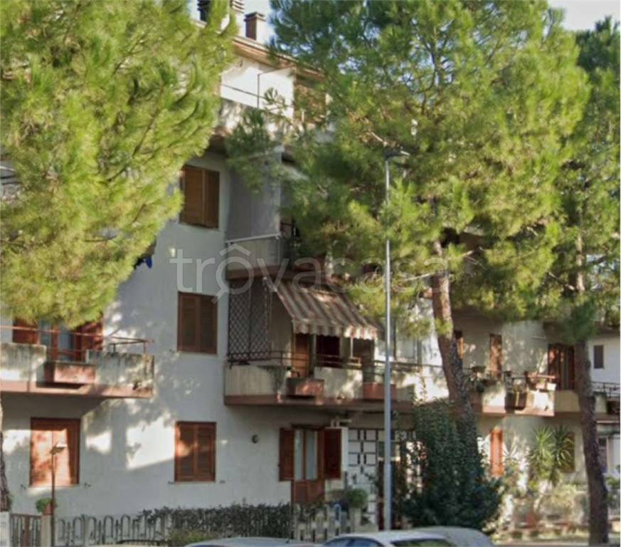 immagine annuncio 8 di 14