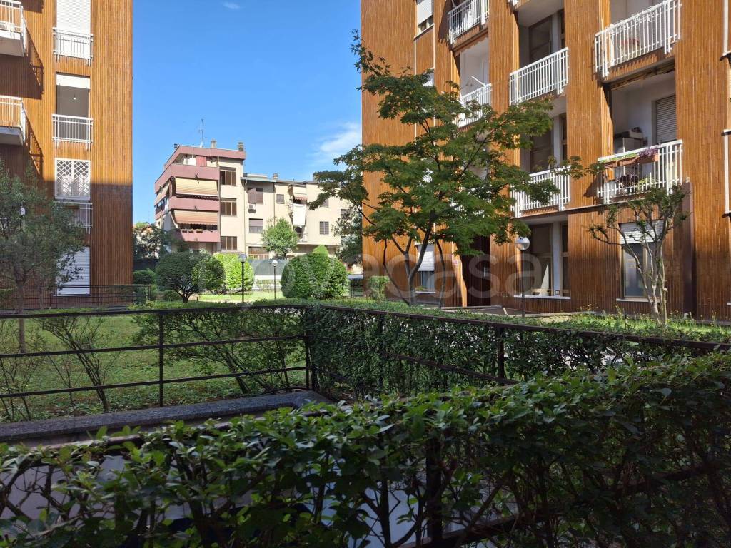 immagine annuncio 6 di 7