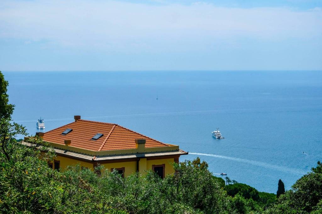 immagine annuncio 3 di 14