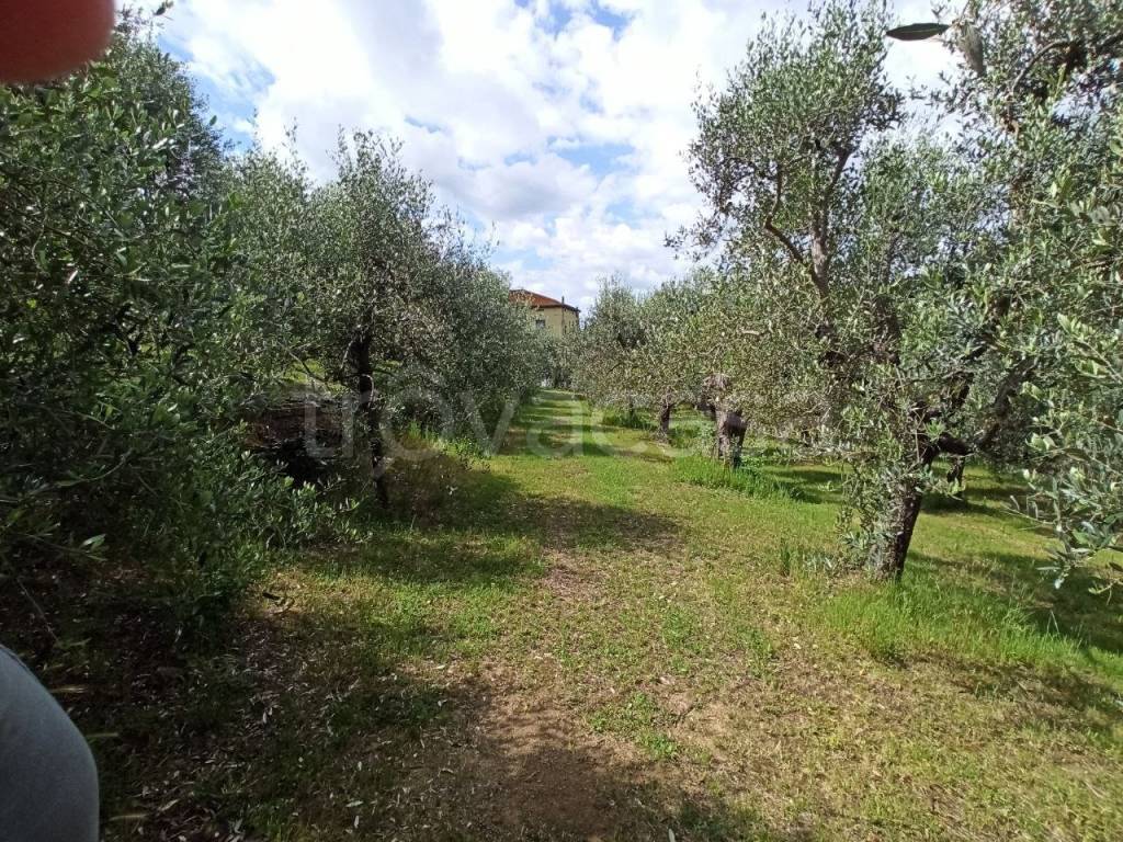 immagine annuncio 9 di 11