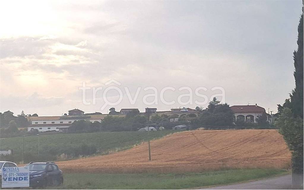 immagine annuncio 12 di 13