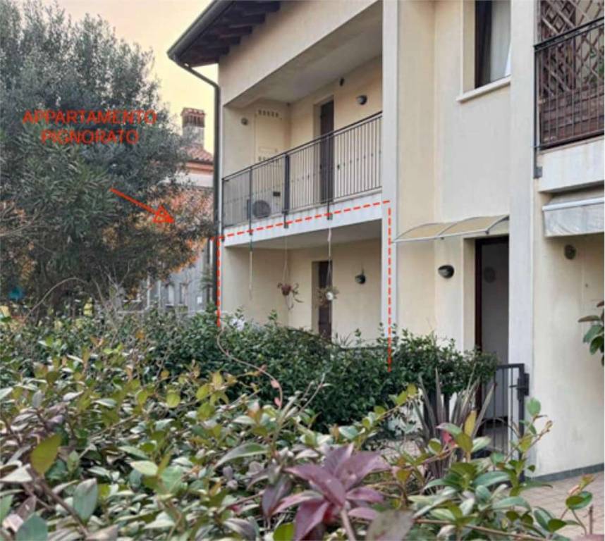 immagine annuncio 5 di 14