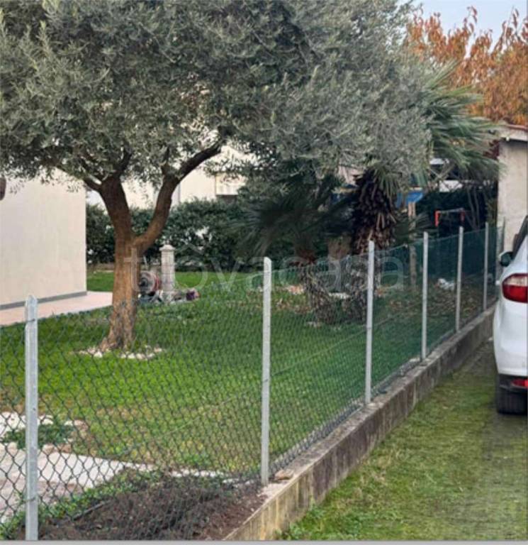 immagine annuncio 12 di 14