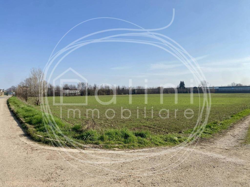 immagine annuncio 3 di 7