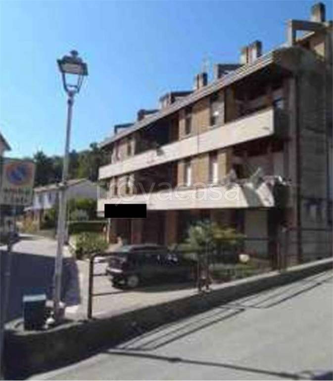 immagine annuncio 11 di 14