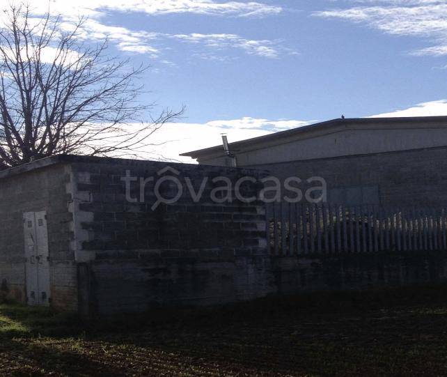 immagine annuncio 7 di 9