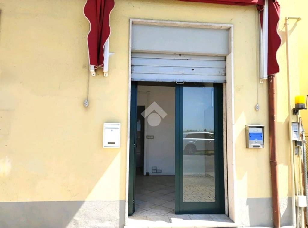 immagine annuncio 5 di 14