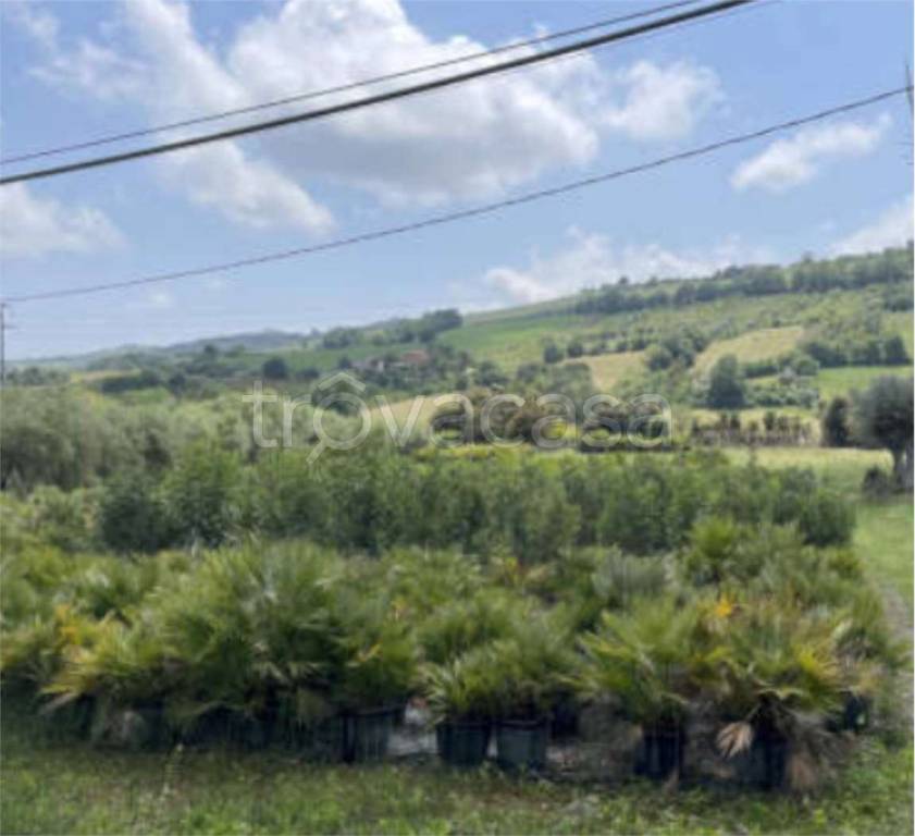 immagine annuncio 9 di 13