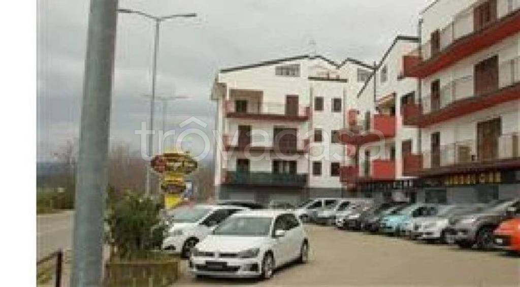 immagine annuncio 3 di 8
