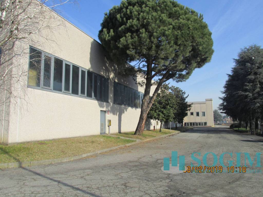 immagine annuncio 1 di 15