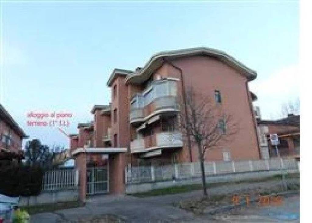 immagine annuncio 1 di 15